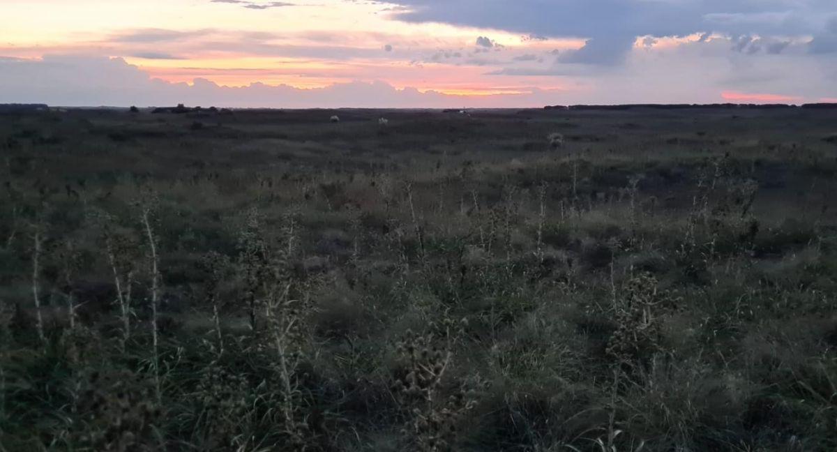 Venta de Lote de 1068 m en Balneario Reta. 2