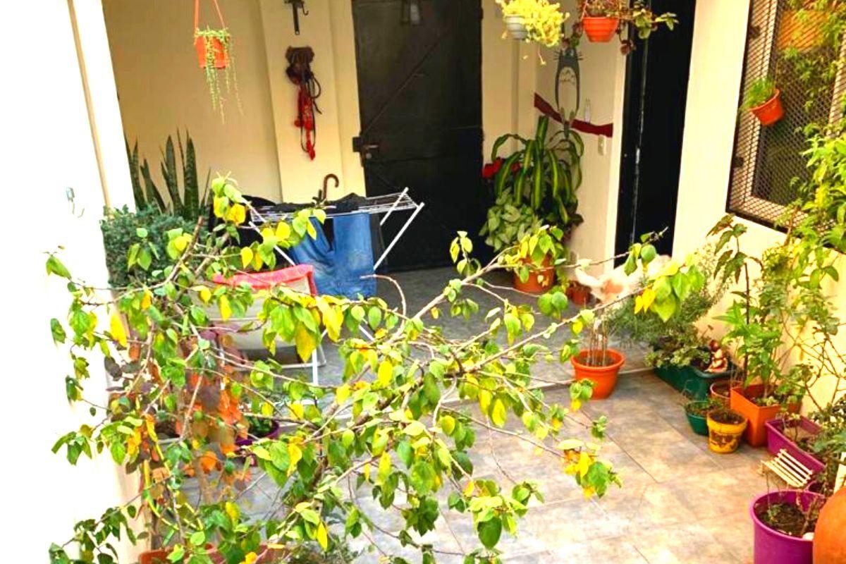 Foto de 4 PH en Block en Caballito Norte, 250 m² totales, Sin Expensas - Ideal, imagen 3