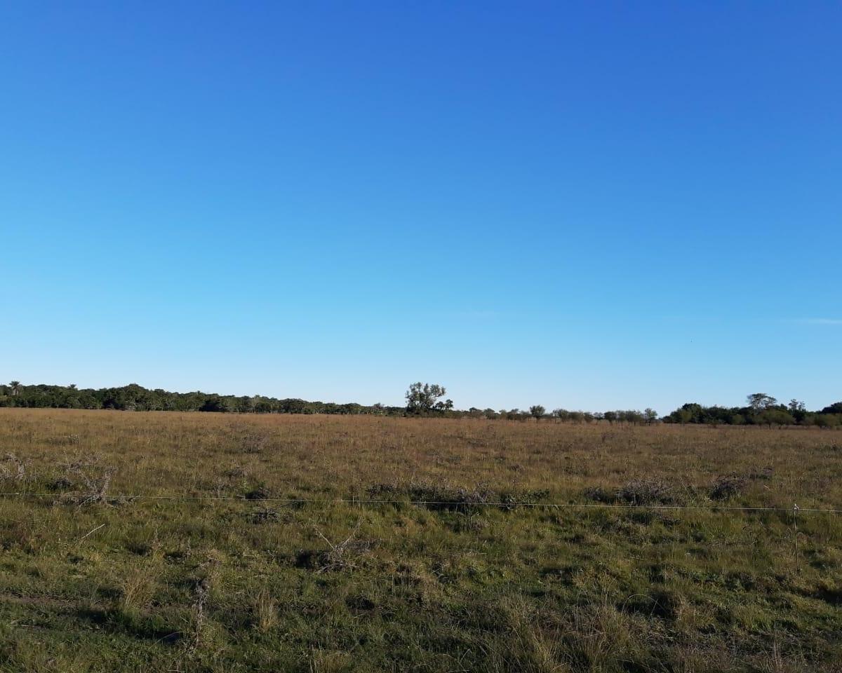 En Venta Campo Mixto a Pocos Km. de Romang 3