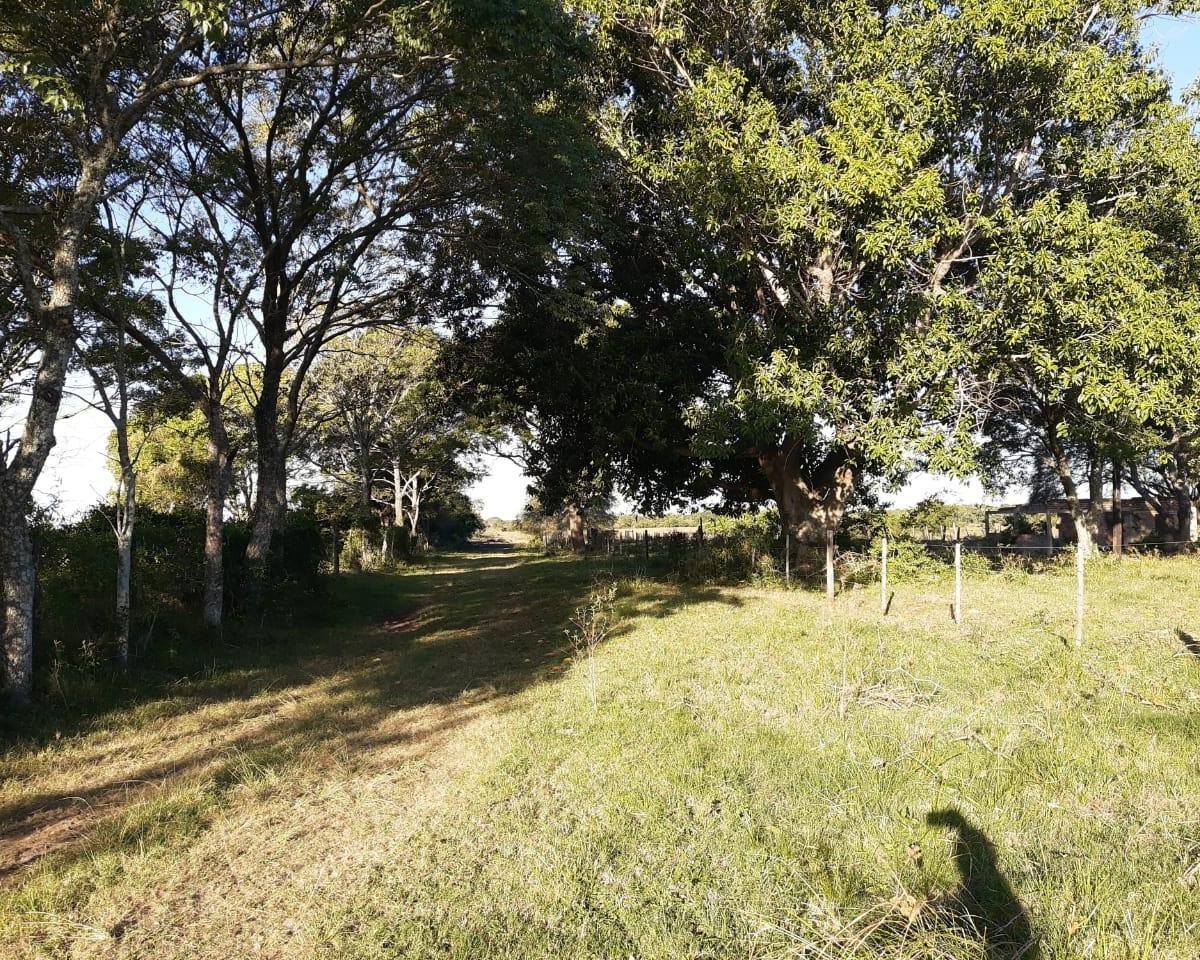 En Venta Campo Mixto a Pocos Km. de Romang 2