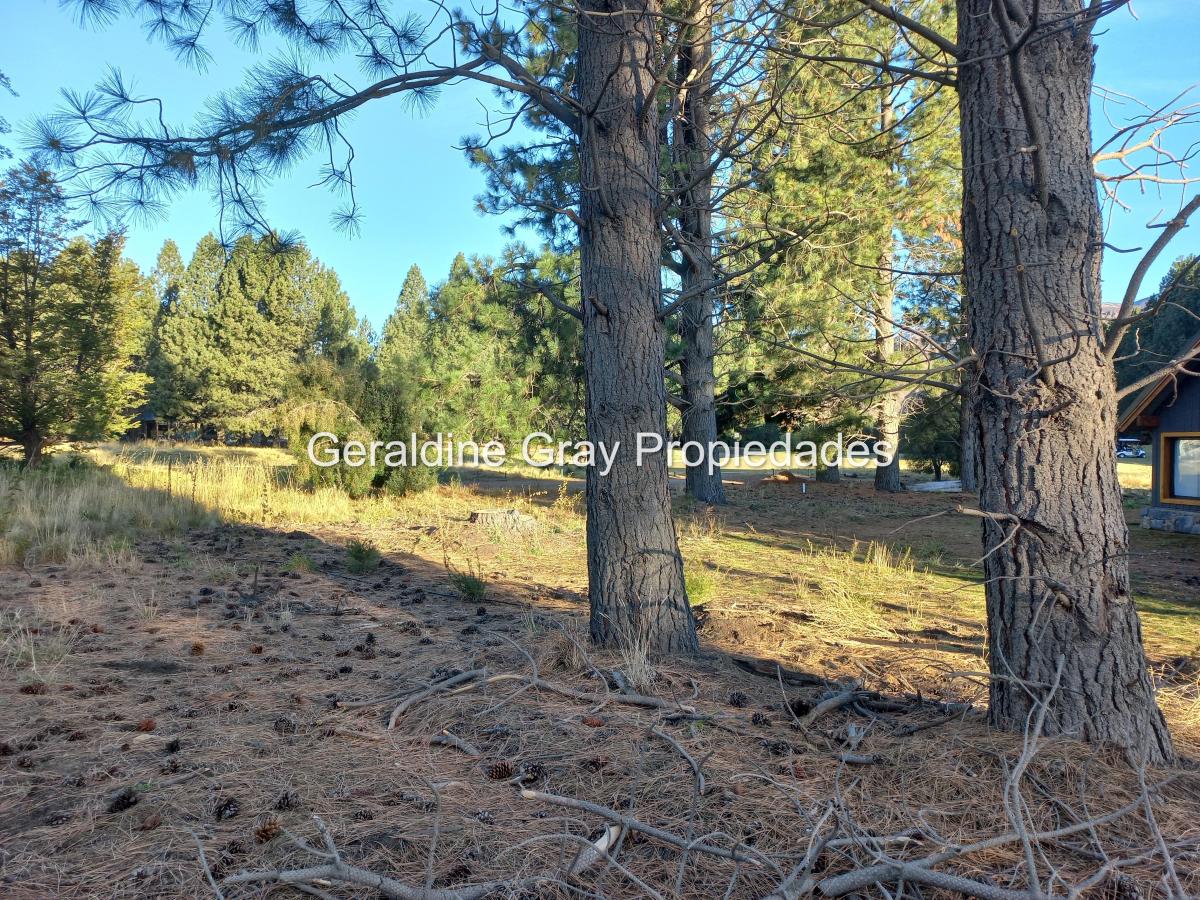 Foto de Excelente lote en venta en Chapelco Golf & Resort, San Martin de los, imagen 4