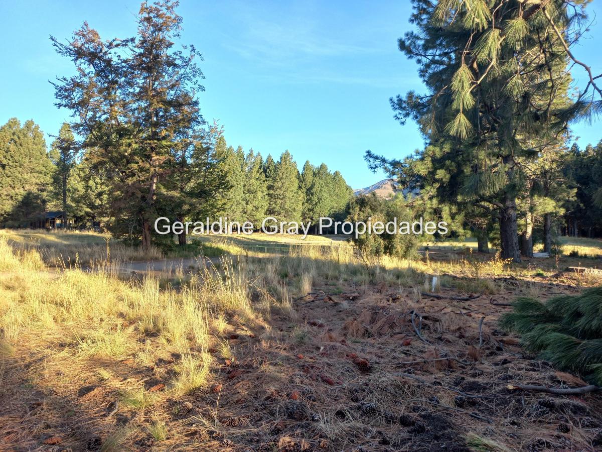 Foto de Excelente lote en venta en Chapelco Golf & Resort, San Martin de los, imagen 3