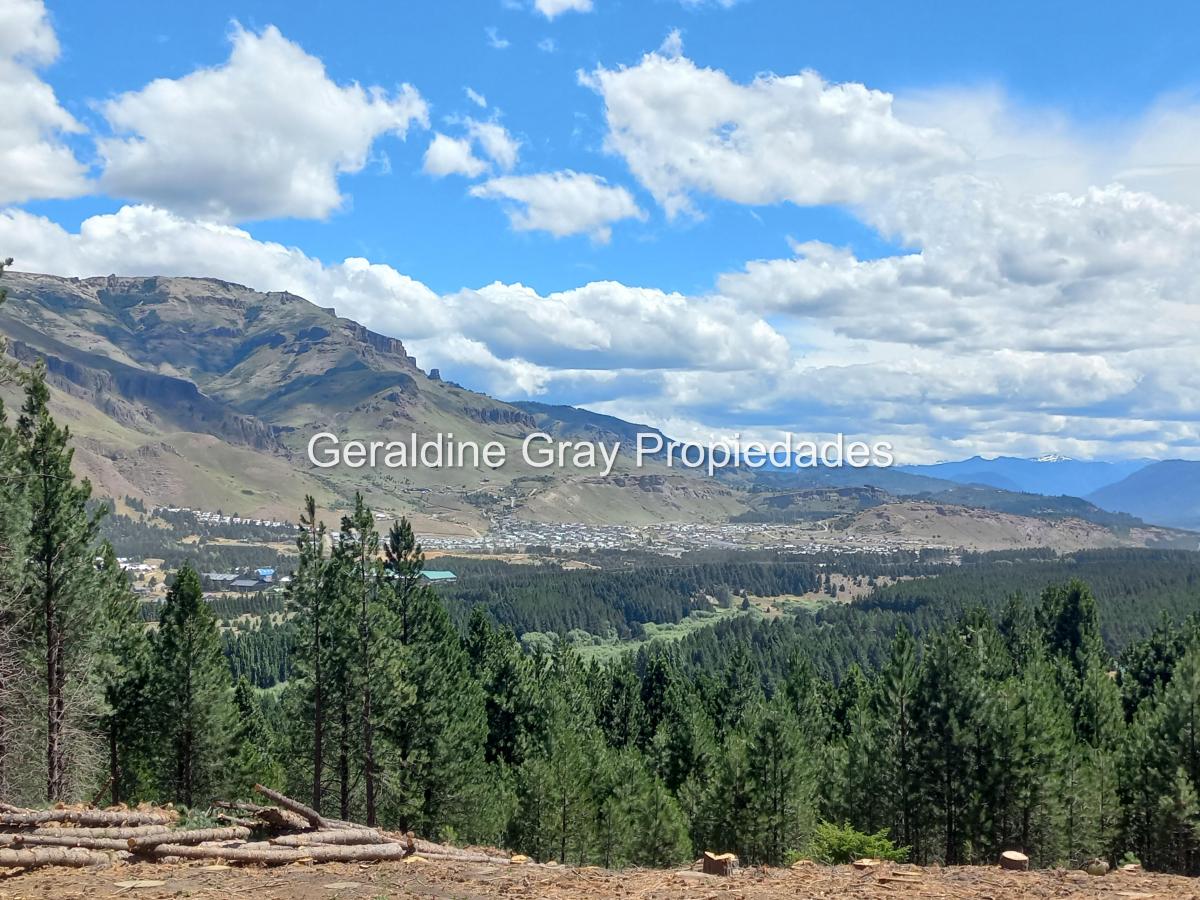 Foto de Lote en venta de 2500 m2 en Chapelco Golf & Resort en San Martin de los, imagen 3