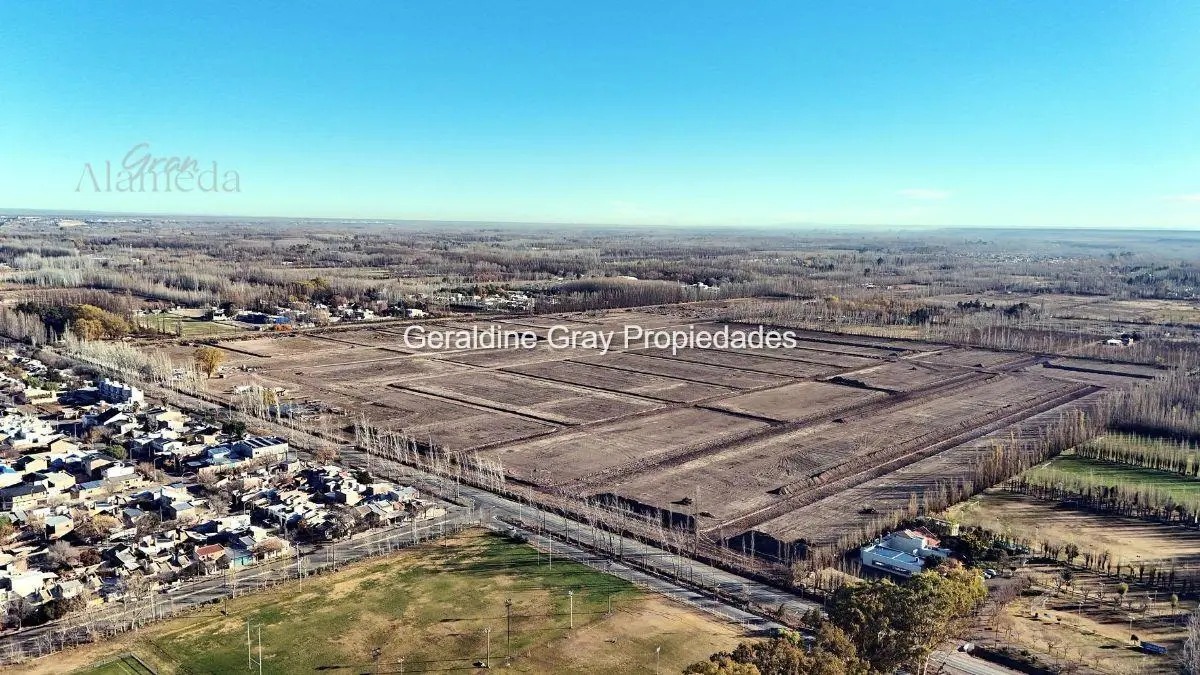 Lotes residenciales y comerciales en venta en Urbanización Gran Alameda, Cipolletti 3