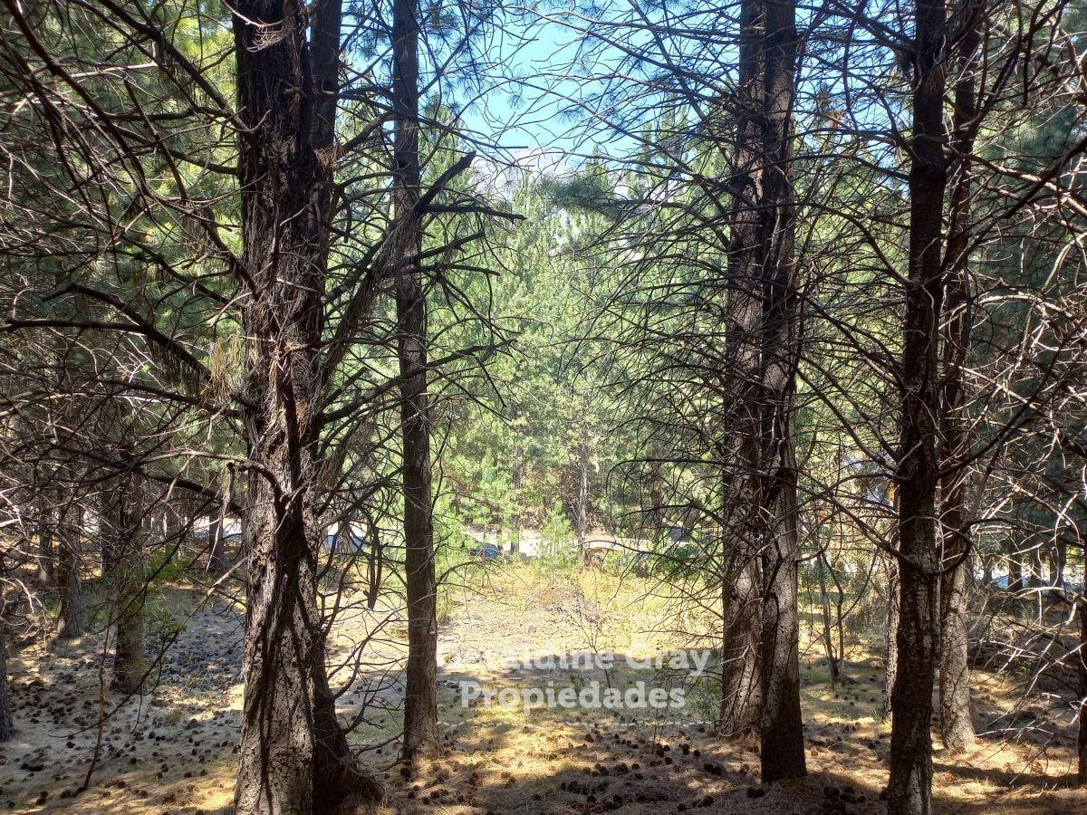 Foto de Lote en venta en el exclusivo barrio privado Chapelco Golf & Resort, en San Martin de los Andes, imagen 3
