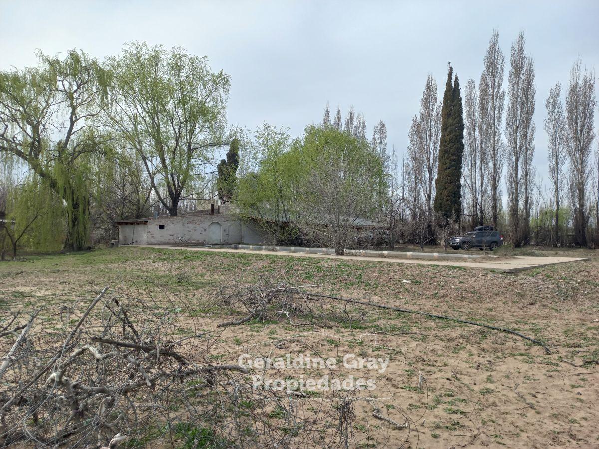 Foto de Chacra en venta de 9,86 hectáreas en Plottier, imagen 2