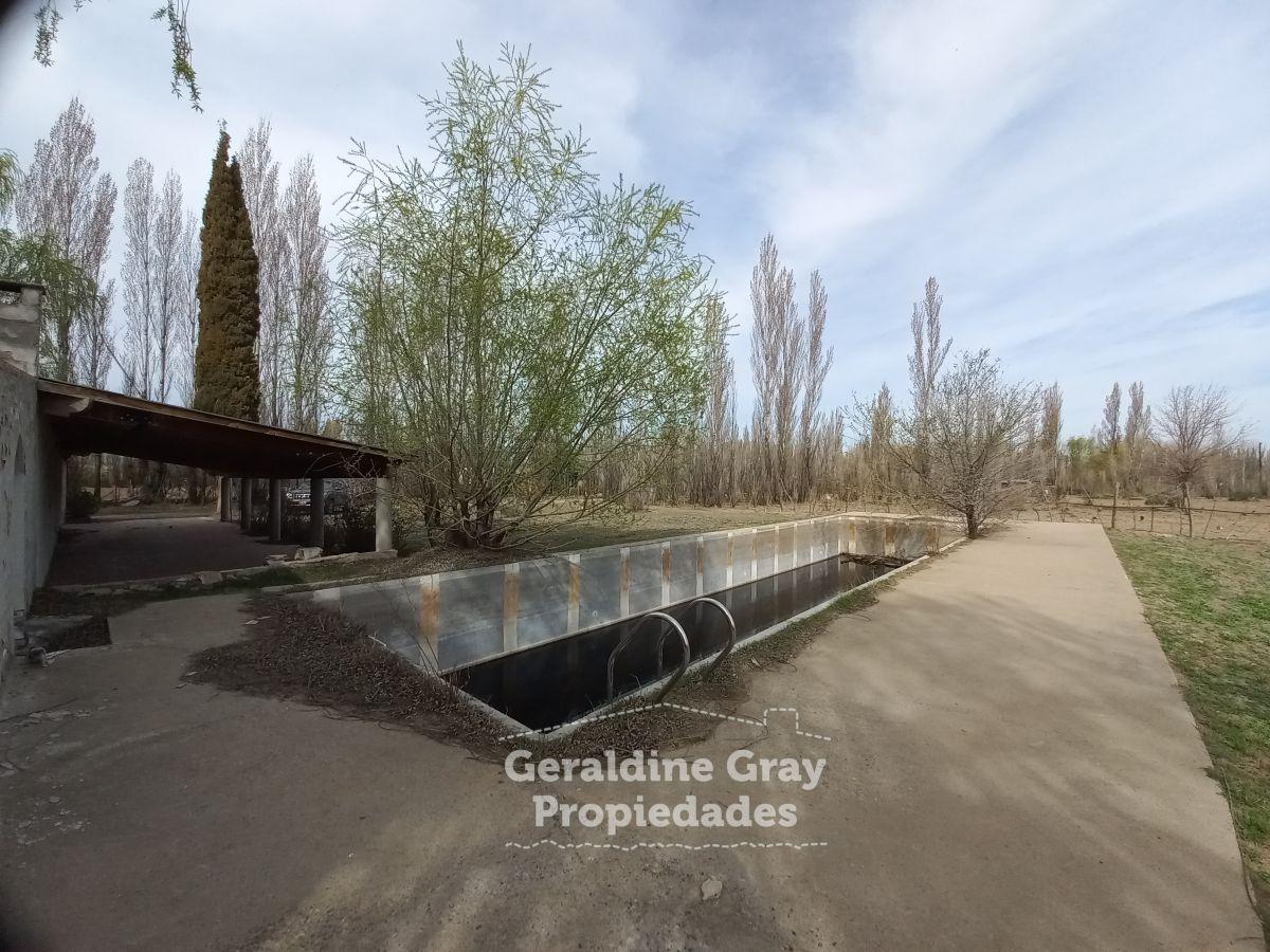 Foto de Chacra en venta de 9,86 hectáreas en Plottier, imagen 1