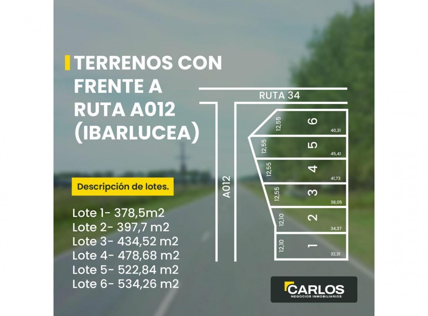 Foto de Terrenos en Ibarlucea con frentes a Ruta A012, imagen 2