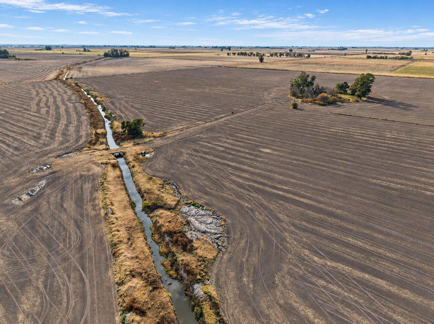 Foto de Campo a la venta en Centeno 49has., imagen 3