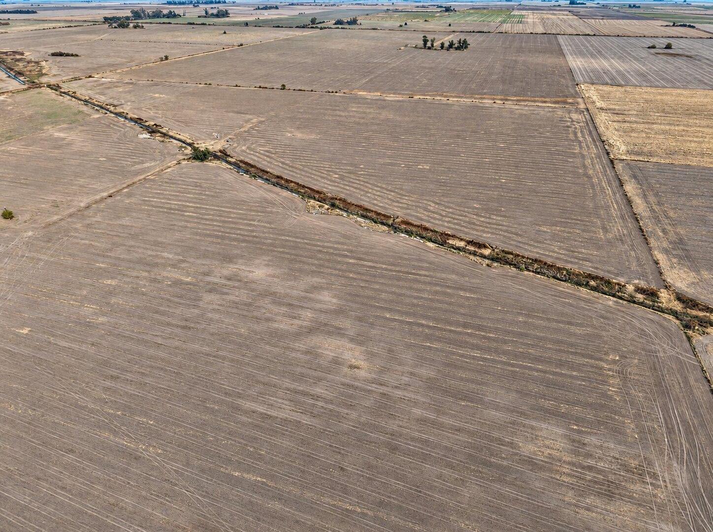 Foto de Campo a la venta en Centeno 49has., imagen 2