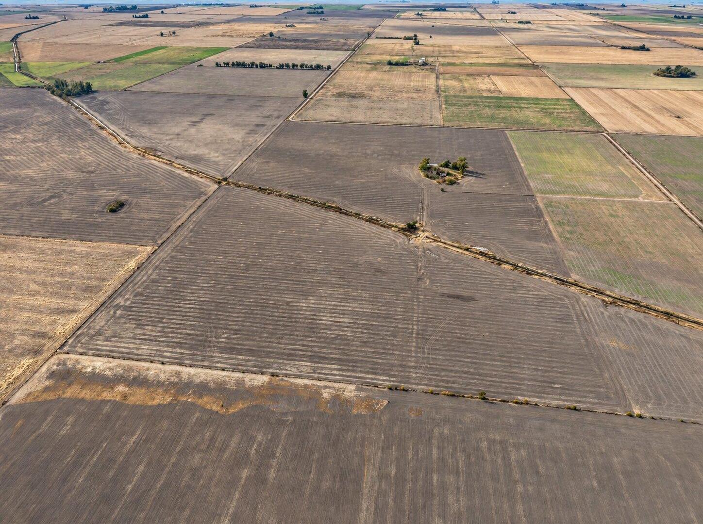 Foto de Campo a la venta en Centeno 49has., imagen 1