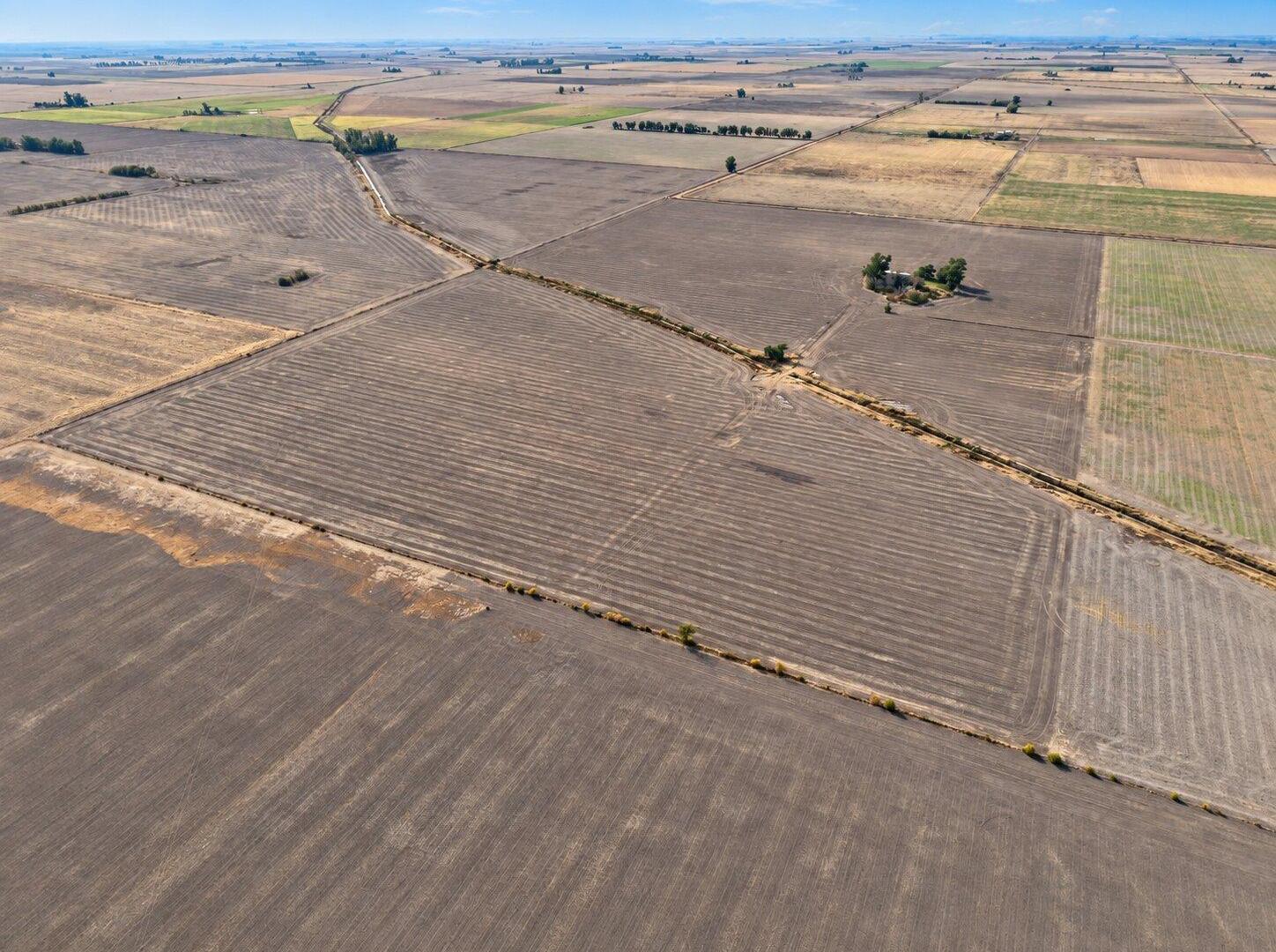 Foto de Campo a la venta en Centeno 49has., imagen 4