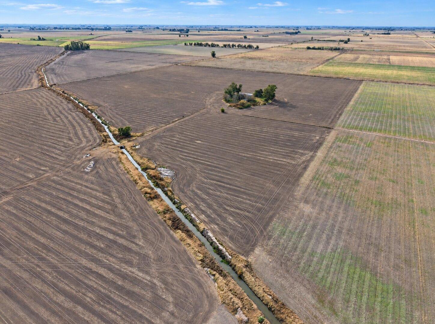 Foto de Campo a la venta en Centeno 49has., imagen 5