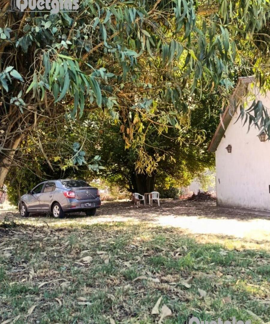 Foto de Casa con gran parque sobre dos lotes en Mar del Plata, imagen 2