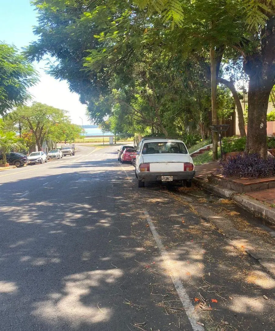 Terreno de 250 m² en venta, sobre Av. Roca a mts de la Costanera 2