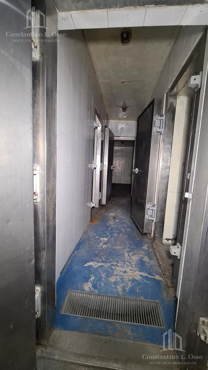 Foto de Oportunidad - Galpón depósito - Lote propio - Lanús Oeste, imagen 2