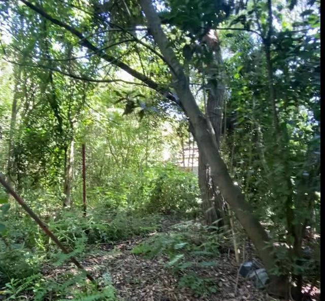 Foto de TERRENO O FRACCION EN VENTA EN SICARDI CASI 659, imagen 3