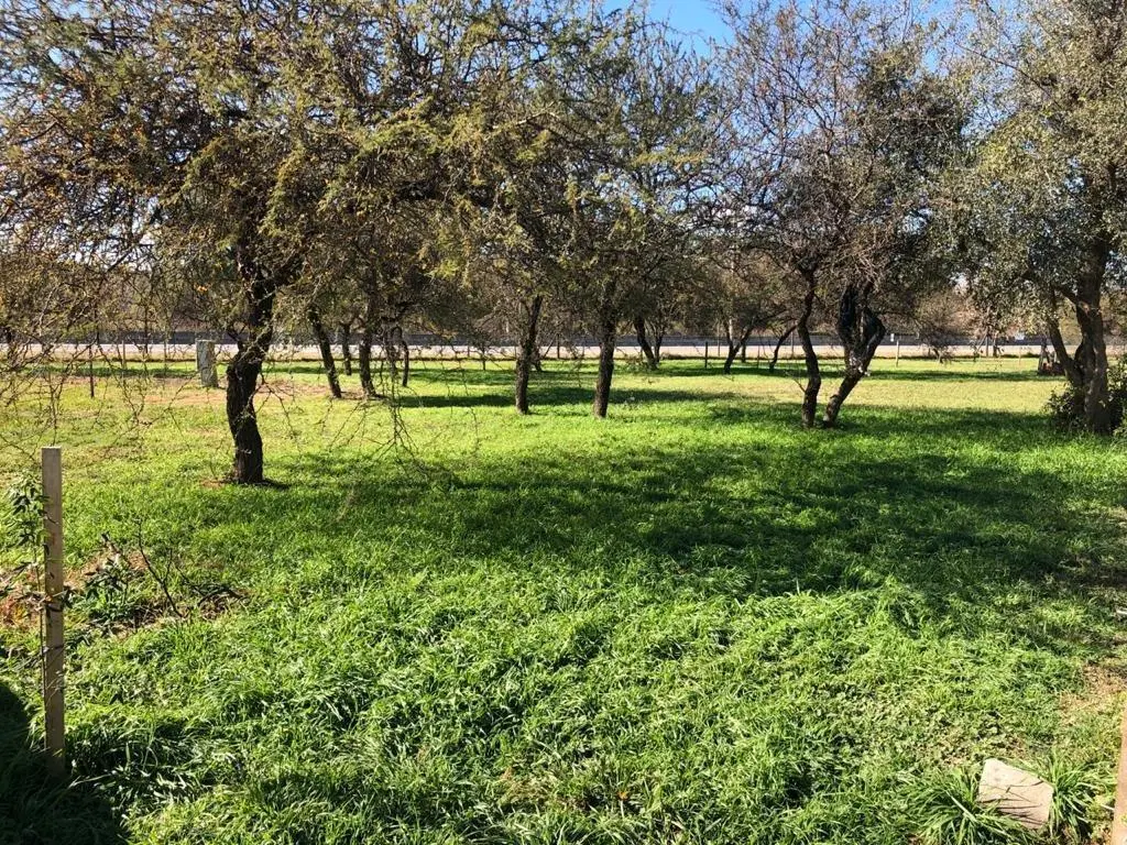 VENDO LOTE EN VILLA CATALINA ETAPA 1 4