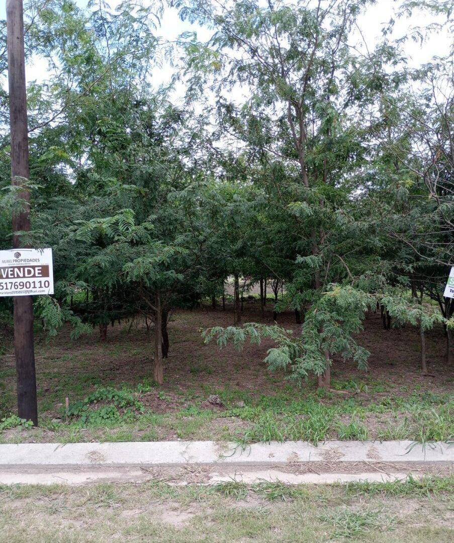 Foto de VENDO LOTE B° PROSSUR (UEPC), imagen 2