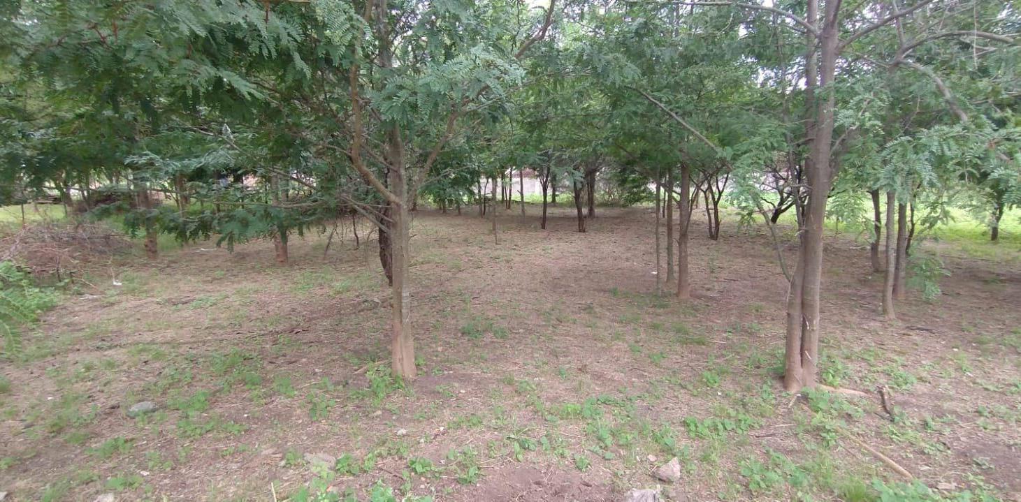 Foto de VENDO LOTE B° PROSSUR (UEPC), imagen 5