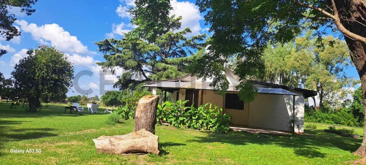 Foto de Alquiler de casa quinta en Pilar con 8 (ocho) caballerizas, imagen 2