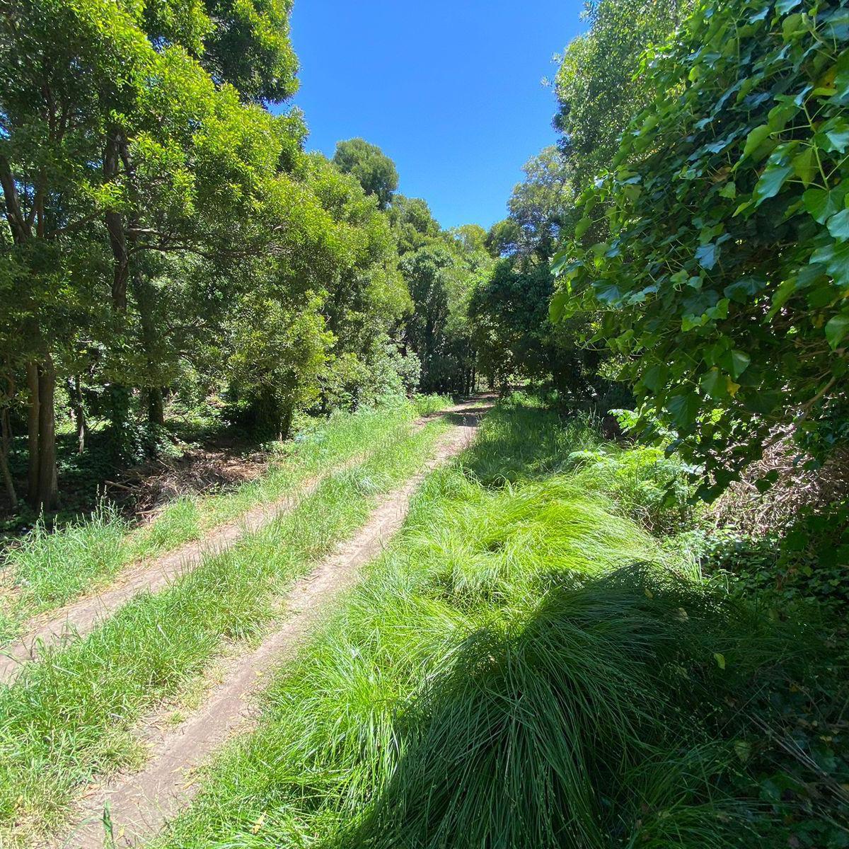 Lote / Terreno Calle Belgrano Entre Maipú y Florida - Parque Bristol - Miramar 3