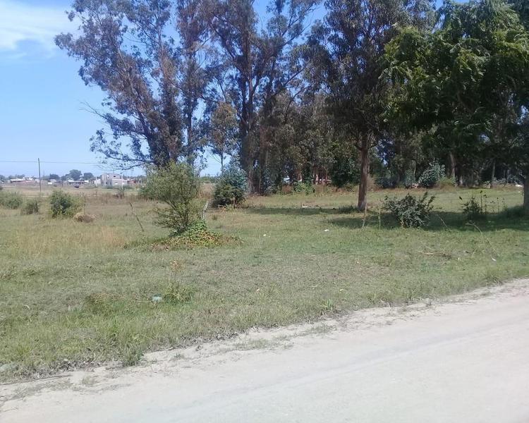 Lote / Terreno Zona Circuito Mar y Pampa Calle 56 y 39 Miramar 2
