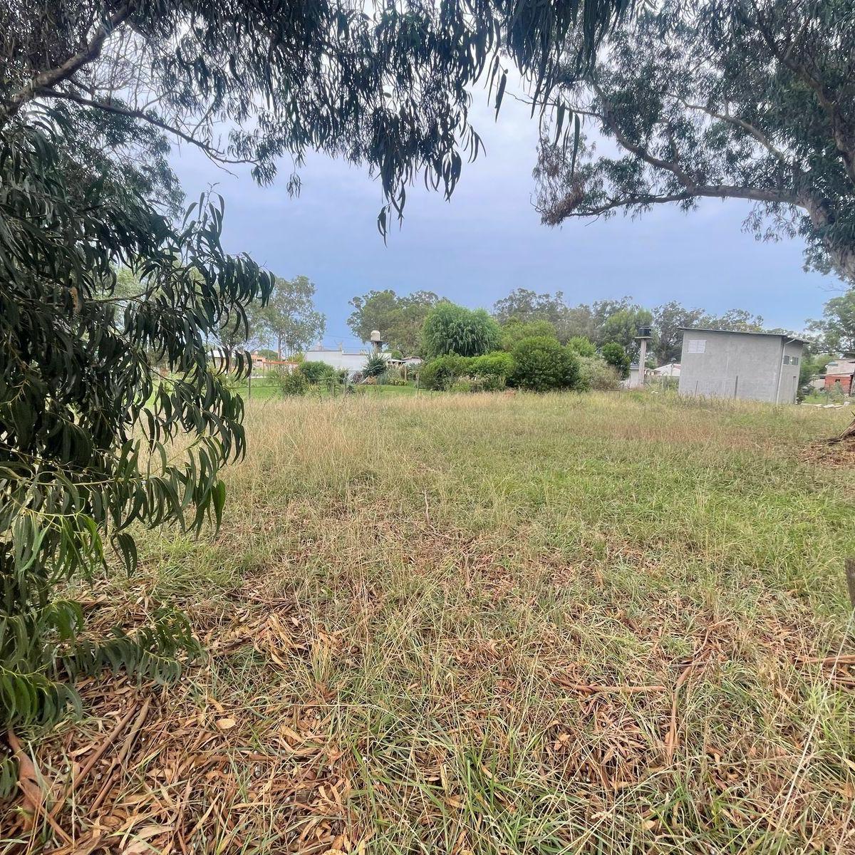 Lote / Terreno Calle Brown Esq. Las Heras - Parque Bristol - Miramar 1