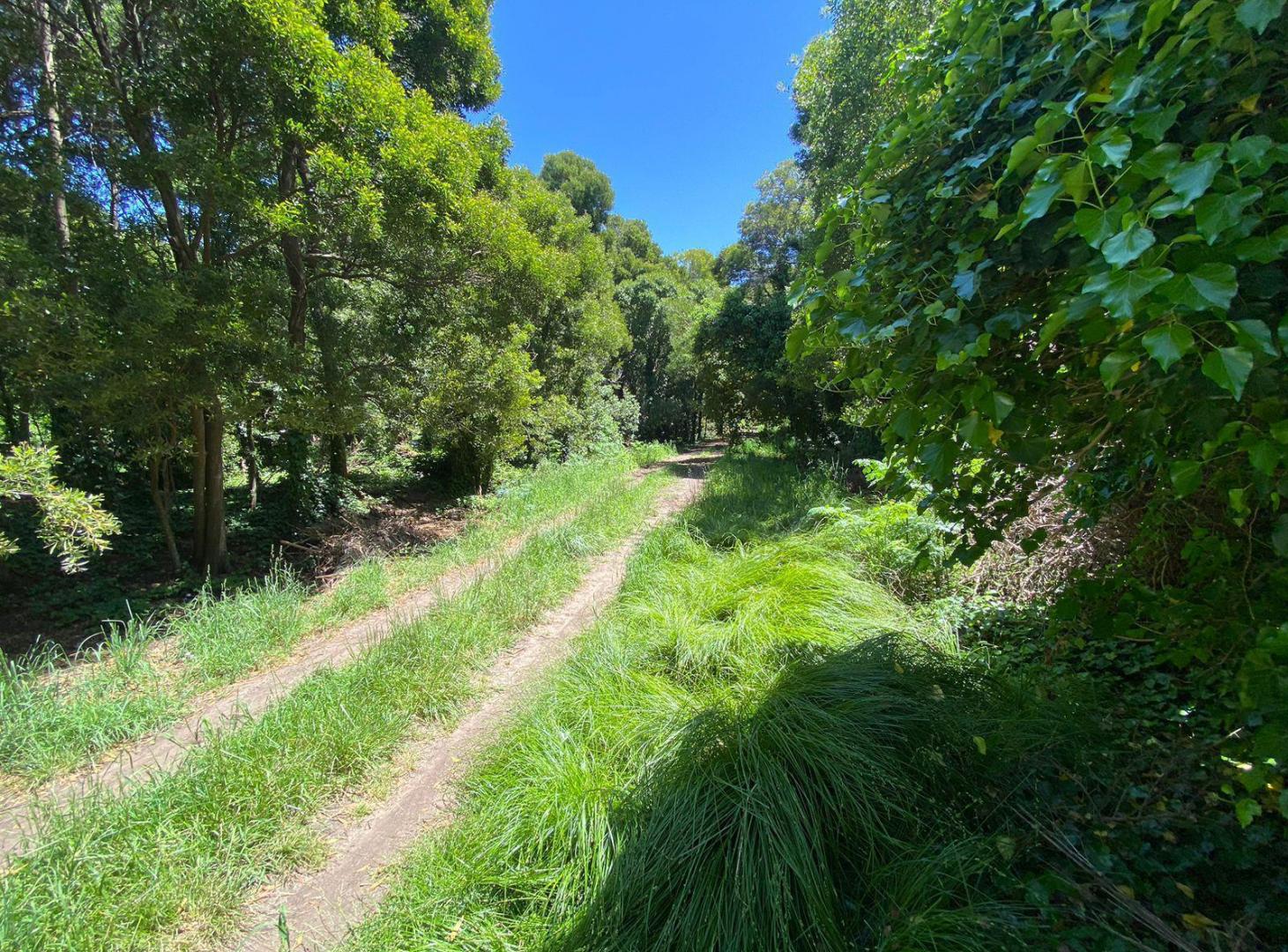 Lote / Terreno calle Belgrano entre Maipú y Florida - Parque Bristol - Miramar