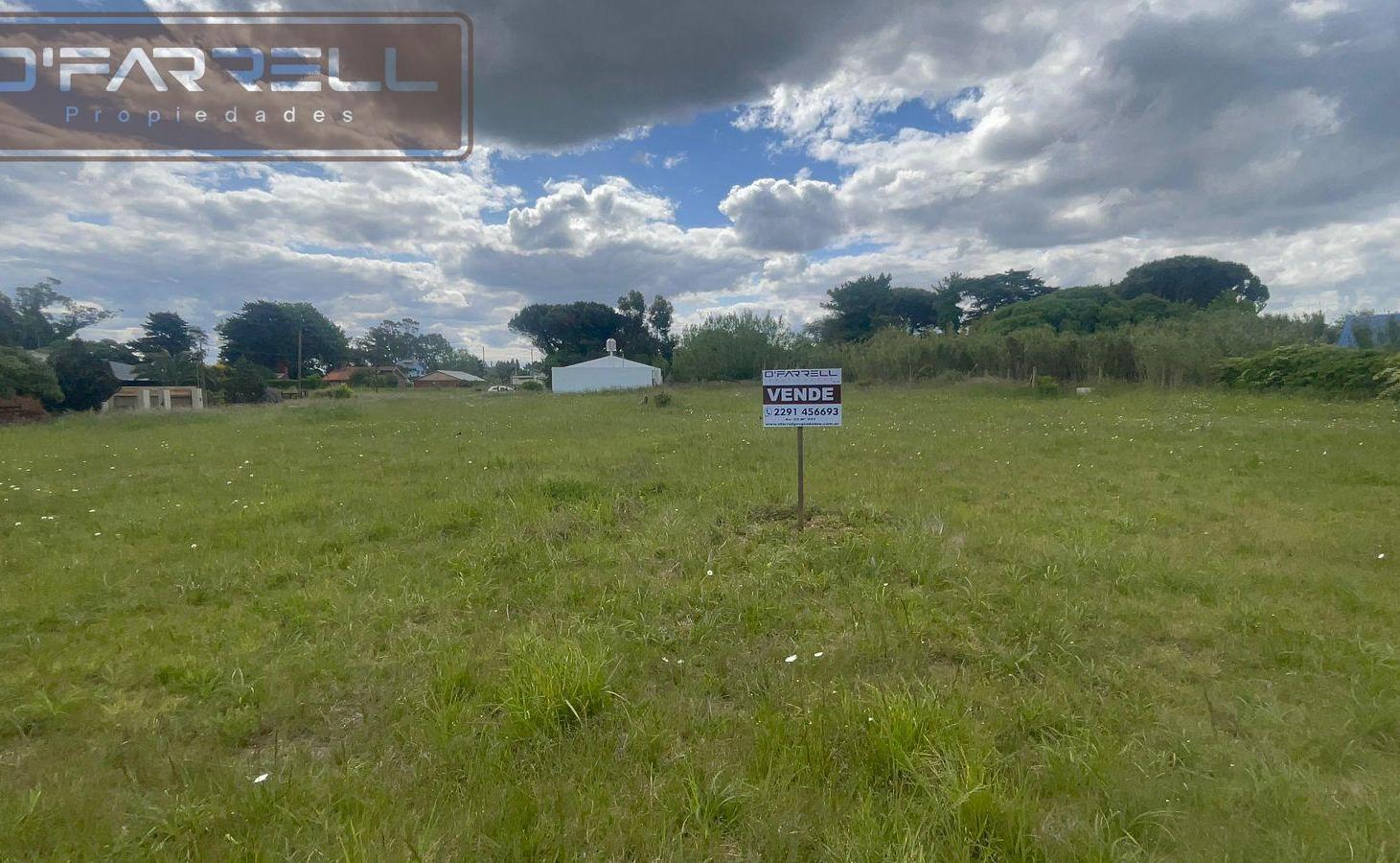 Foto de Lote / Terreno Av. del Parque entre Los Pinos y Los Tilos - Parquemar, imagen 3