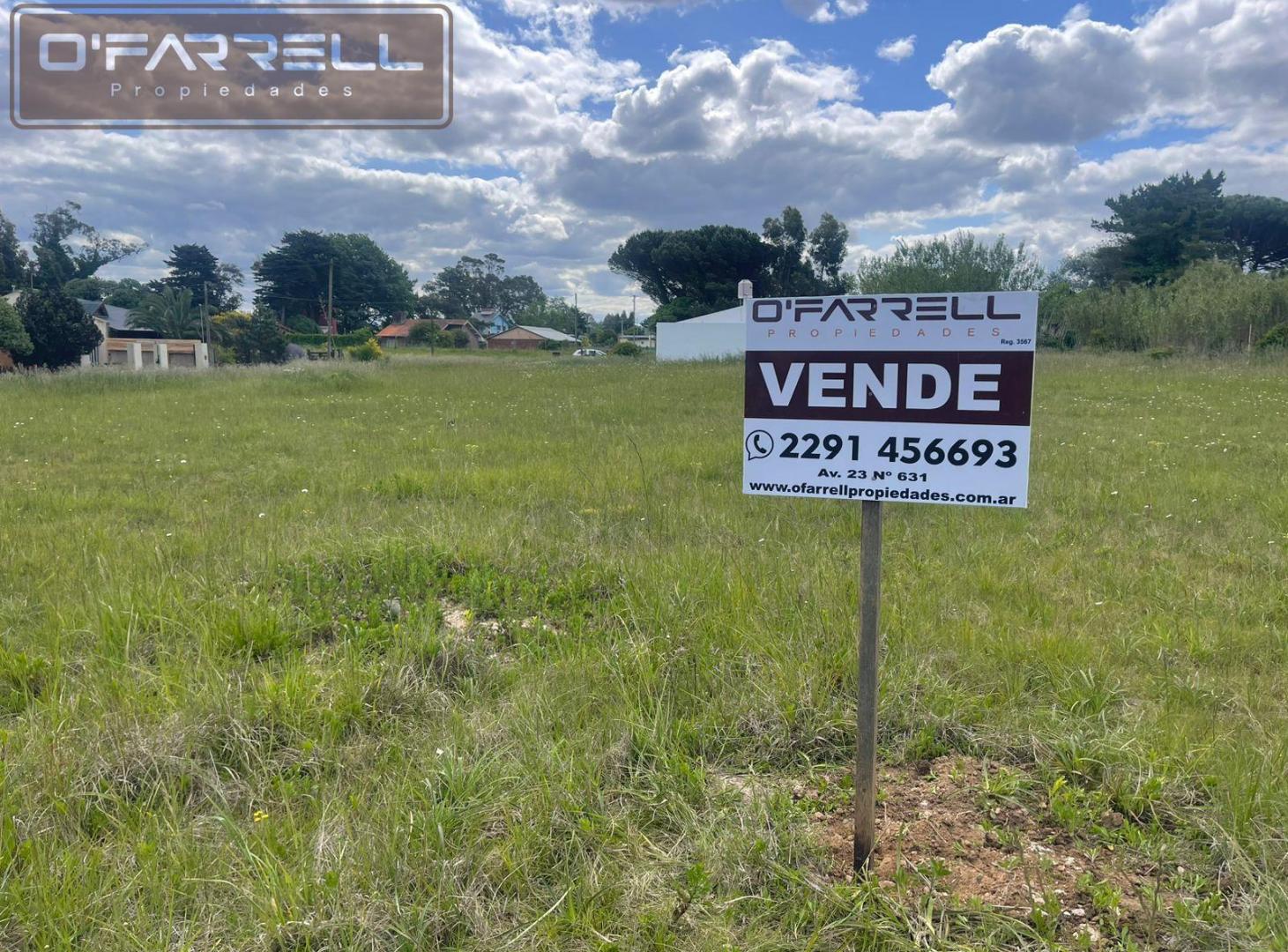 Foto de Lote / Terreno Av. del Parque entre Los Pinos y Los Tilos - Parquemar, imagen 2