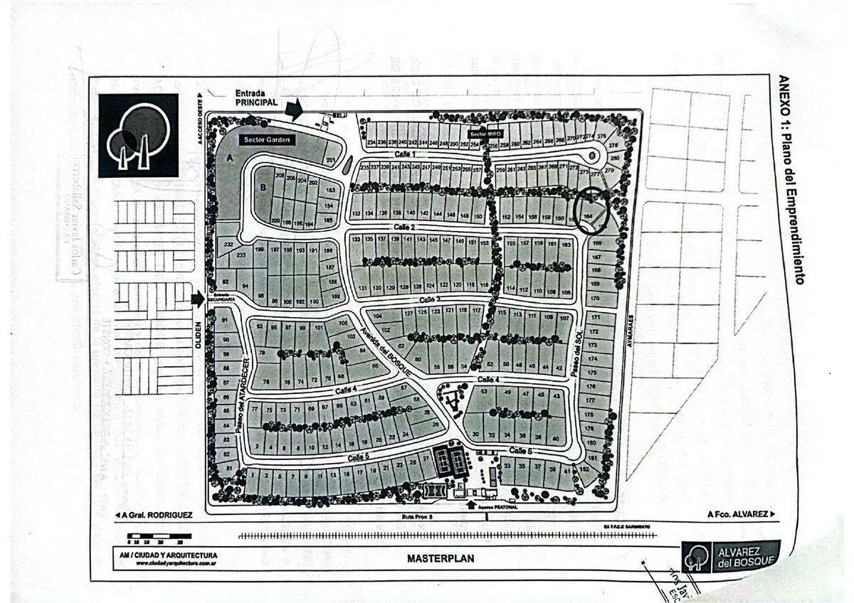 Plano 1