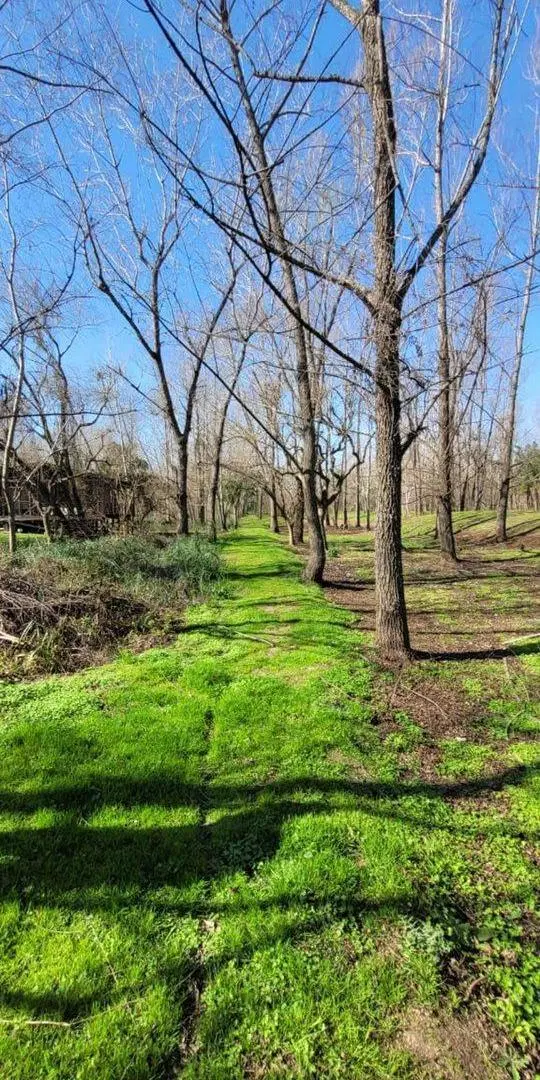 Lote en Venta - Palmares del Delta 4