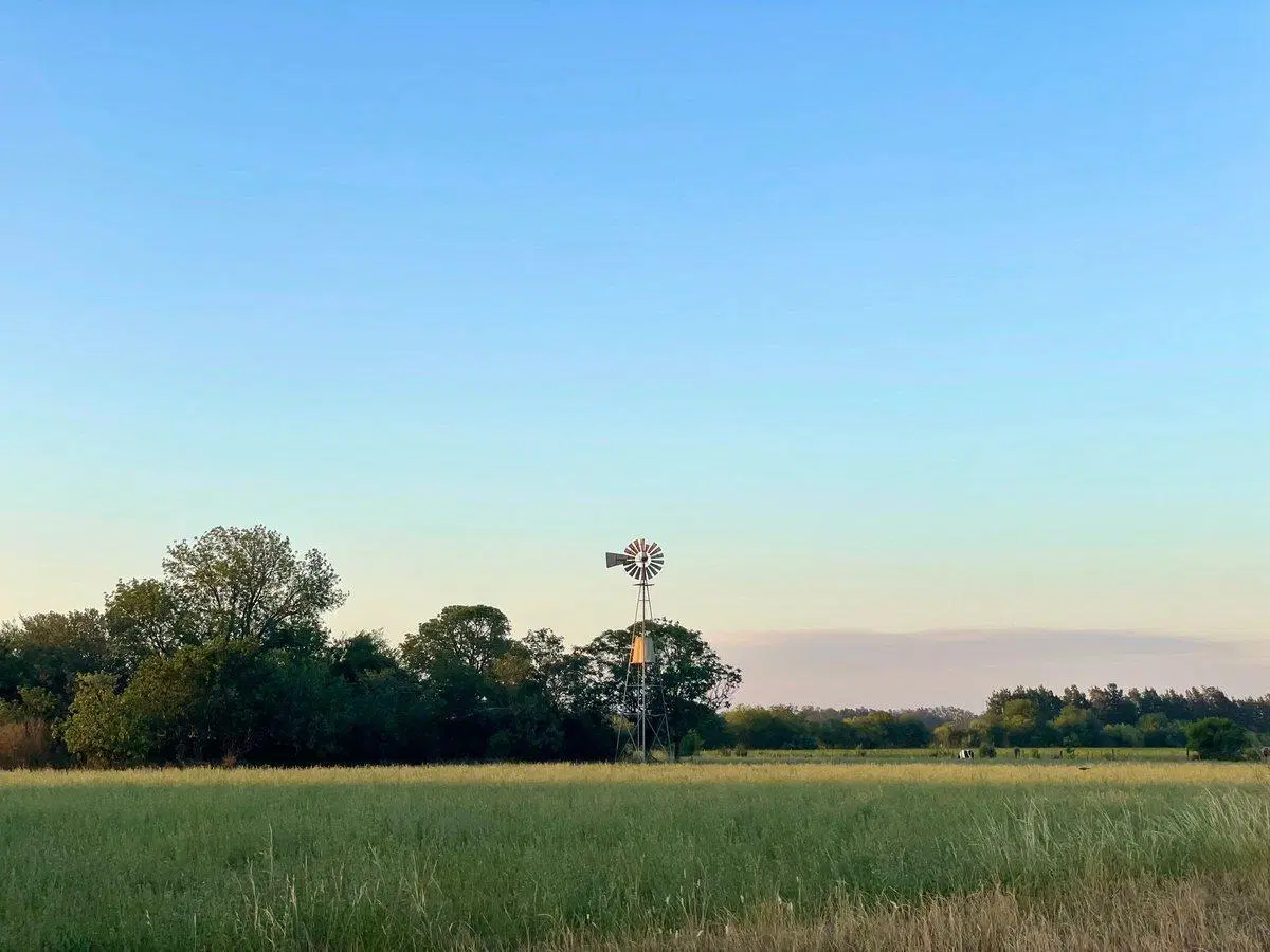 VENTA de Campo en Baradero 5