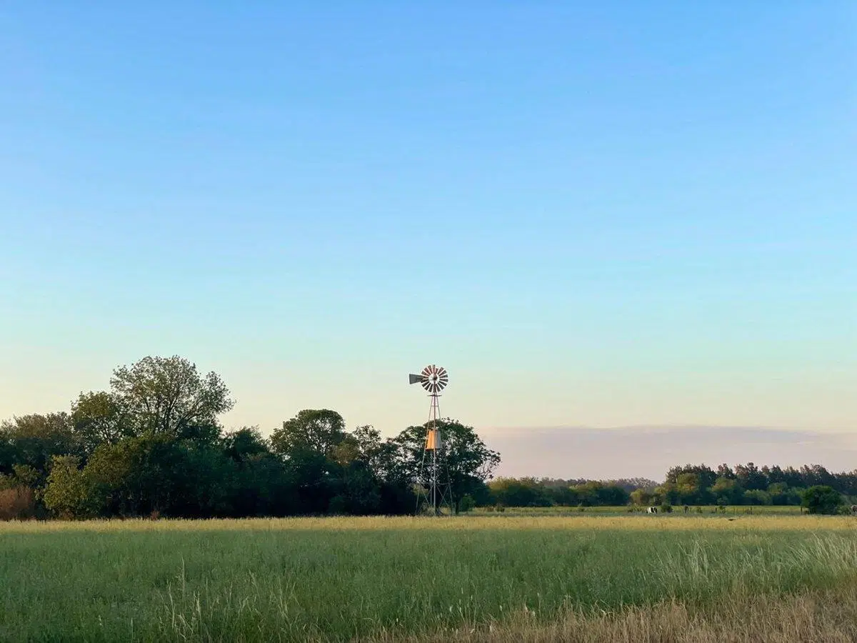 VENTA de Campo en Baradero 2