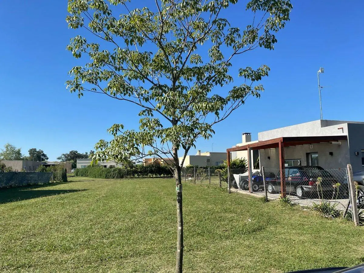 Lote interno en venta en San Ramiro-Pilar del Este 4