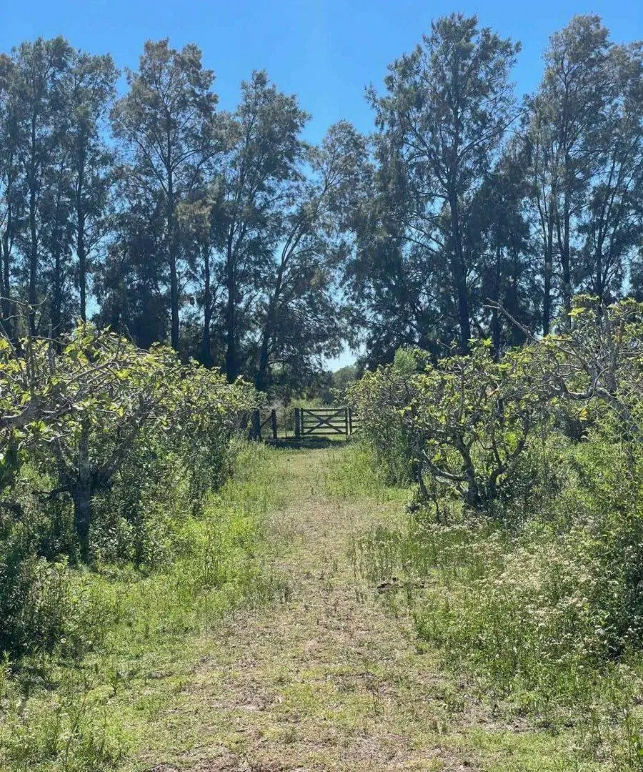 Venta de Lote/Terreno en Baradero 5
