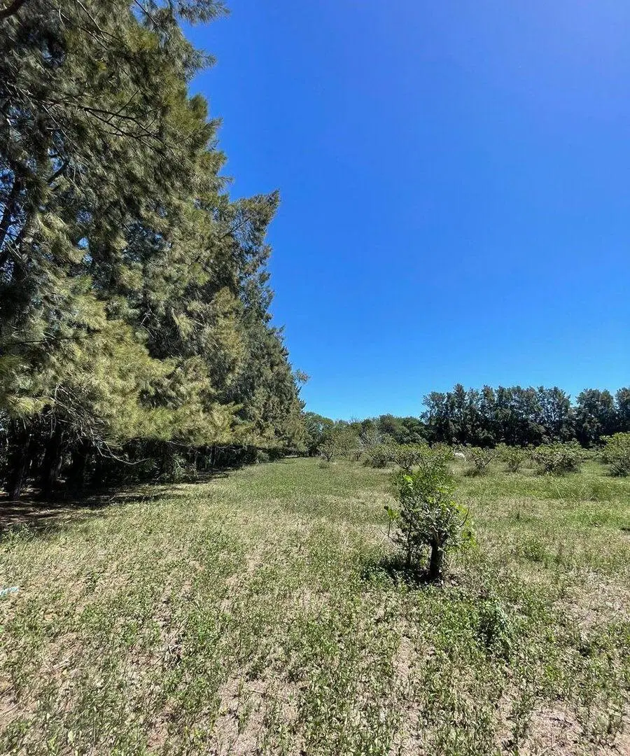 Venta de Lote/Terreno en Baradero 2