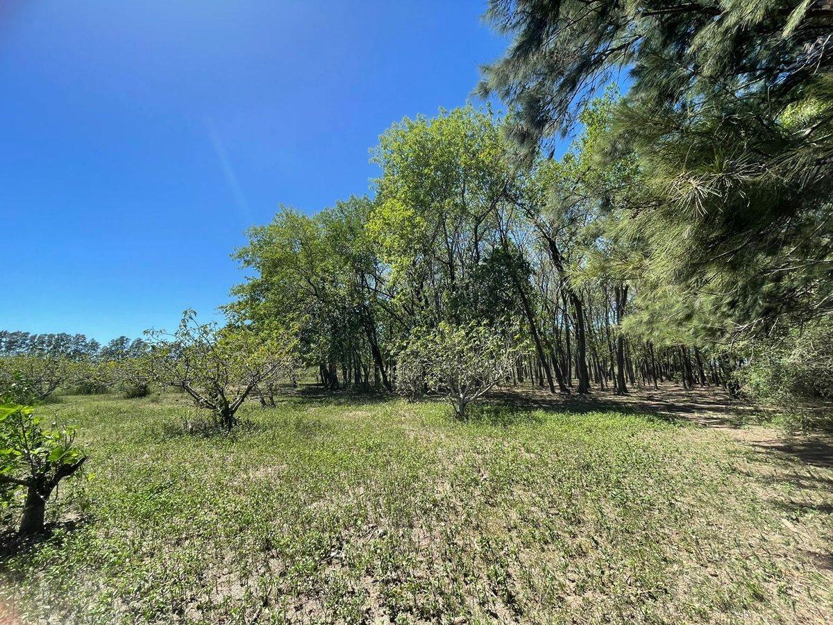 Foto de Venta de Lote/Terreno en Baradero, imagen 3