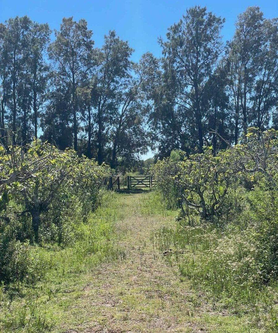 Foto de Venta de Lote/Terreno en Baradero, imagen 4