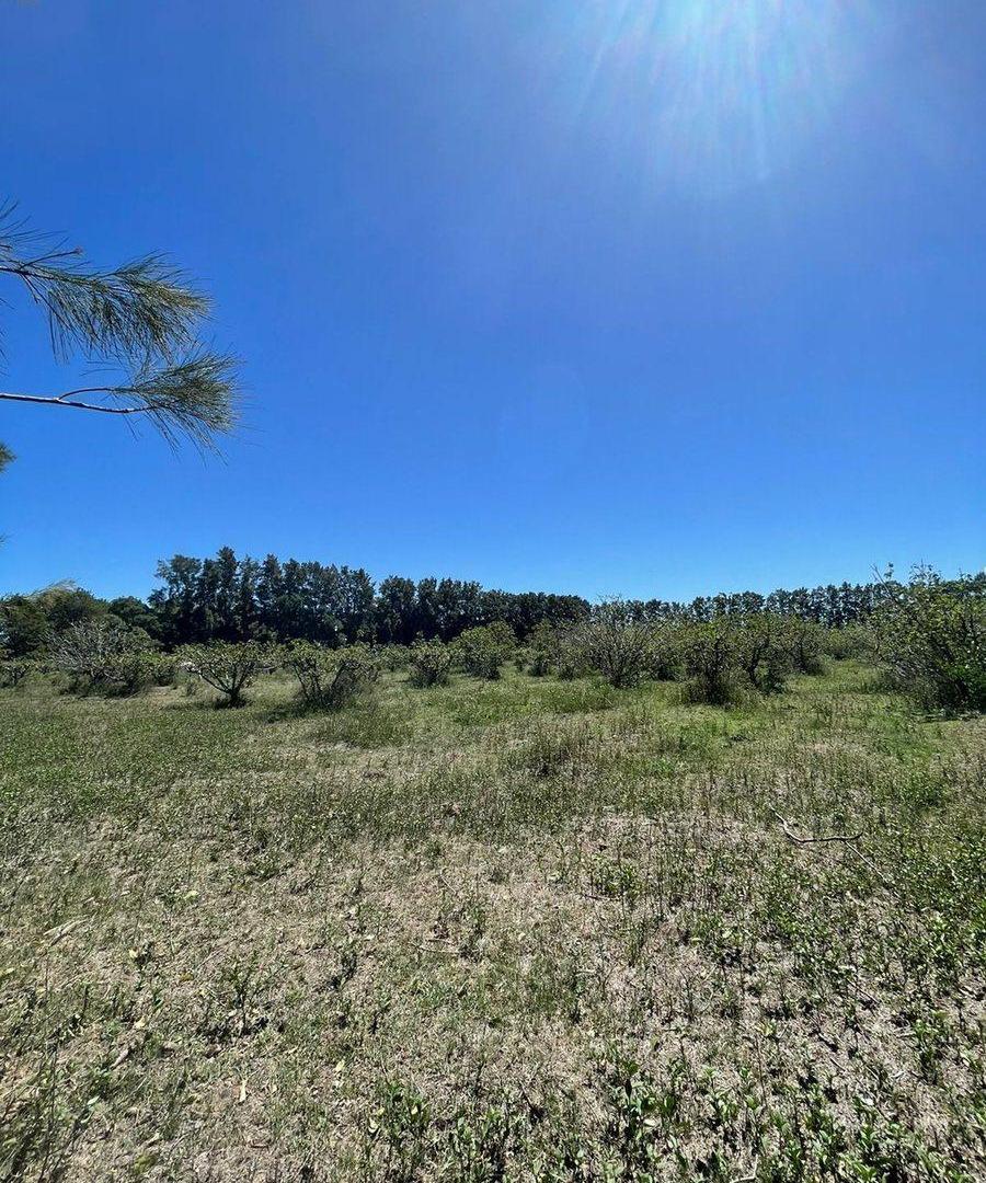 Foto de Venta de Lote/Terreno en Baradero, imagen 1