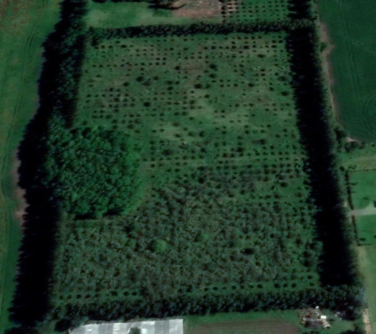 Foto de Venta de Lote/Terreno en Baradero, imagen 5