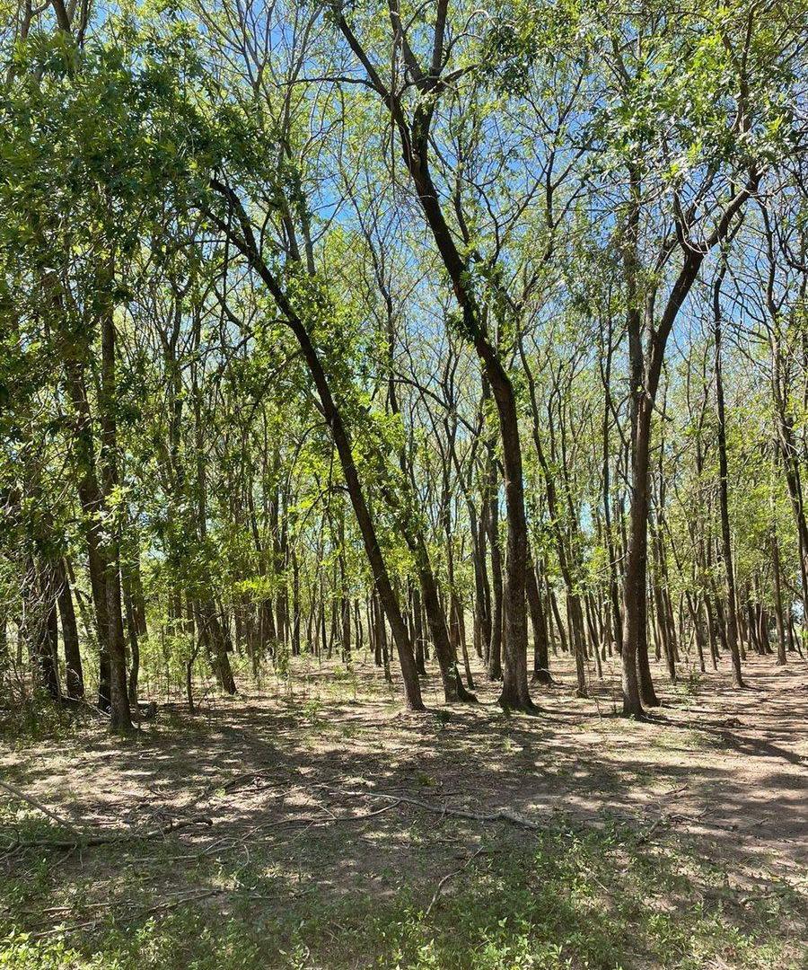Foto de Venta de Lote/Terreno en Baradero, imagen 3