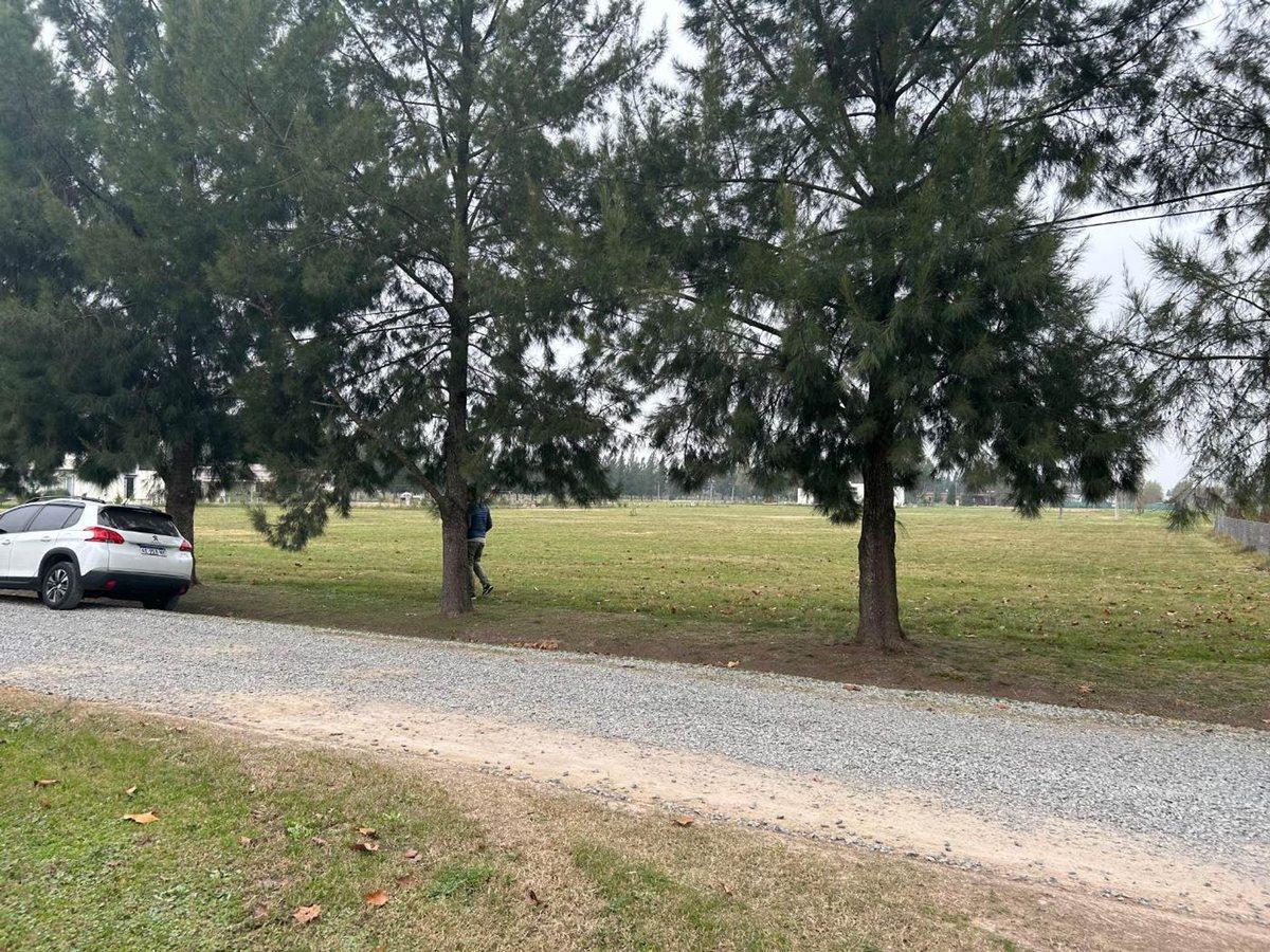 Foto de CAMPOS DE ROCA II 2500 M2, imagen 2