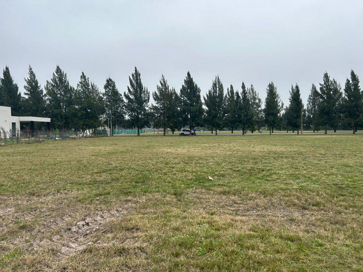 Foto de CAMPOS DE ROCA II 2500 M2, imagen 3