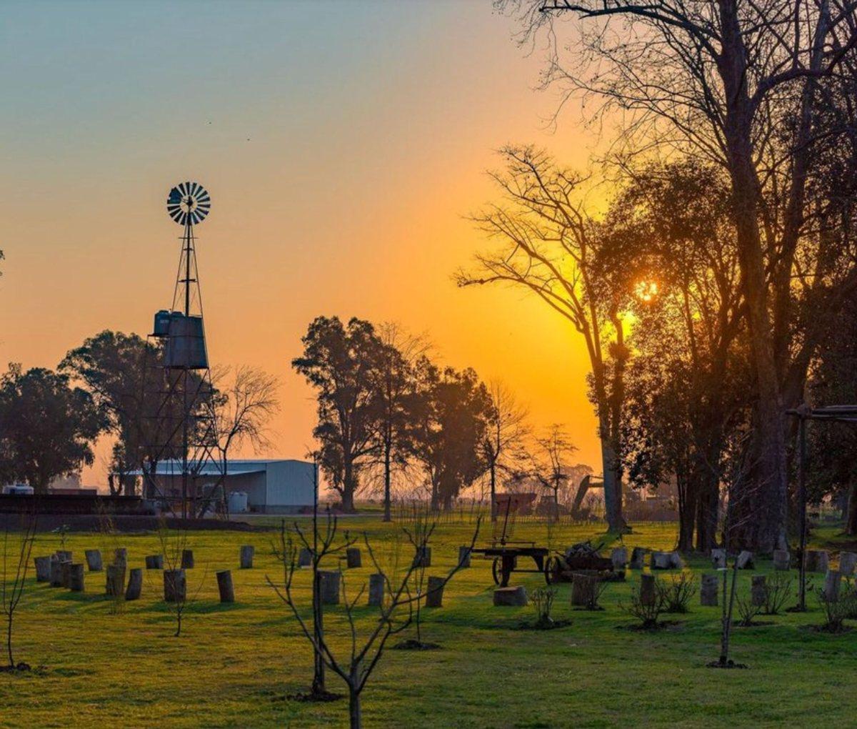 Foto de GRAN LOTE-LOS 3 PINOS-GRAL. RODRIGUEZ-BARRIO NORTE, imagen 4