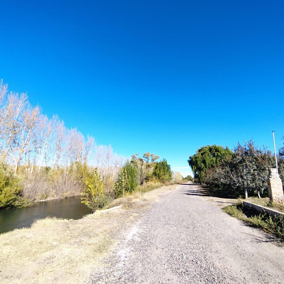 Venta de Chacra con Casa en Allen, 6 Ha 2