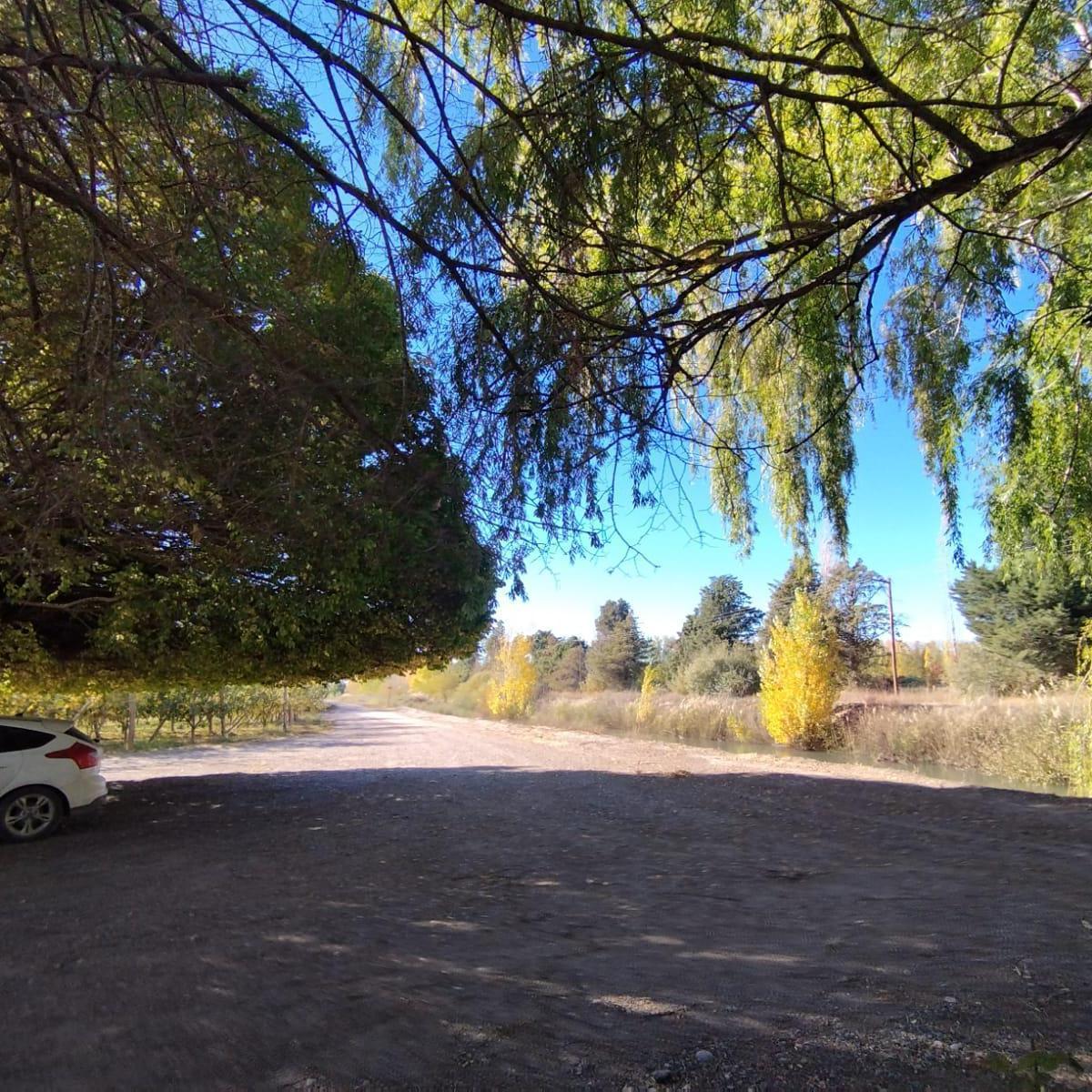 Venta de Chacra con Casa en Allen, 6 Ha 4