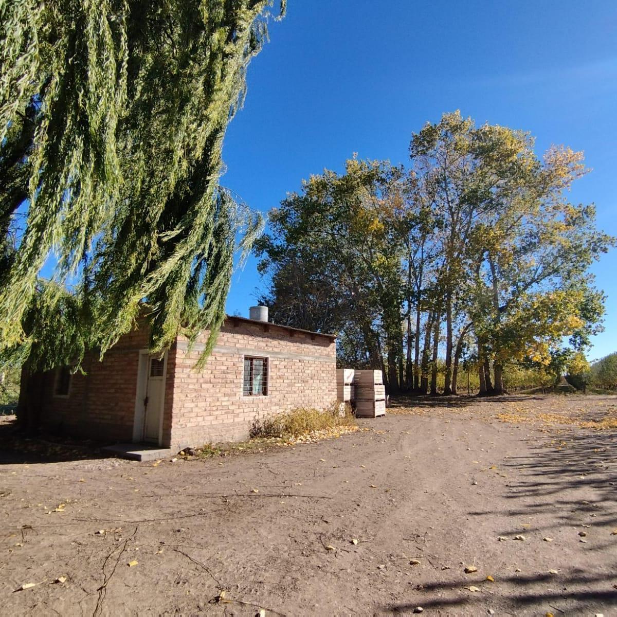 Venta de Chacra con Casa en Allen, 6 Ha 3