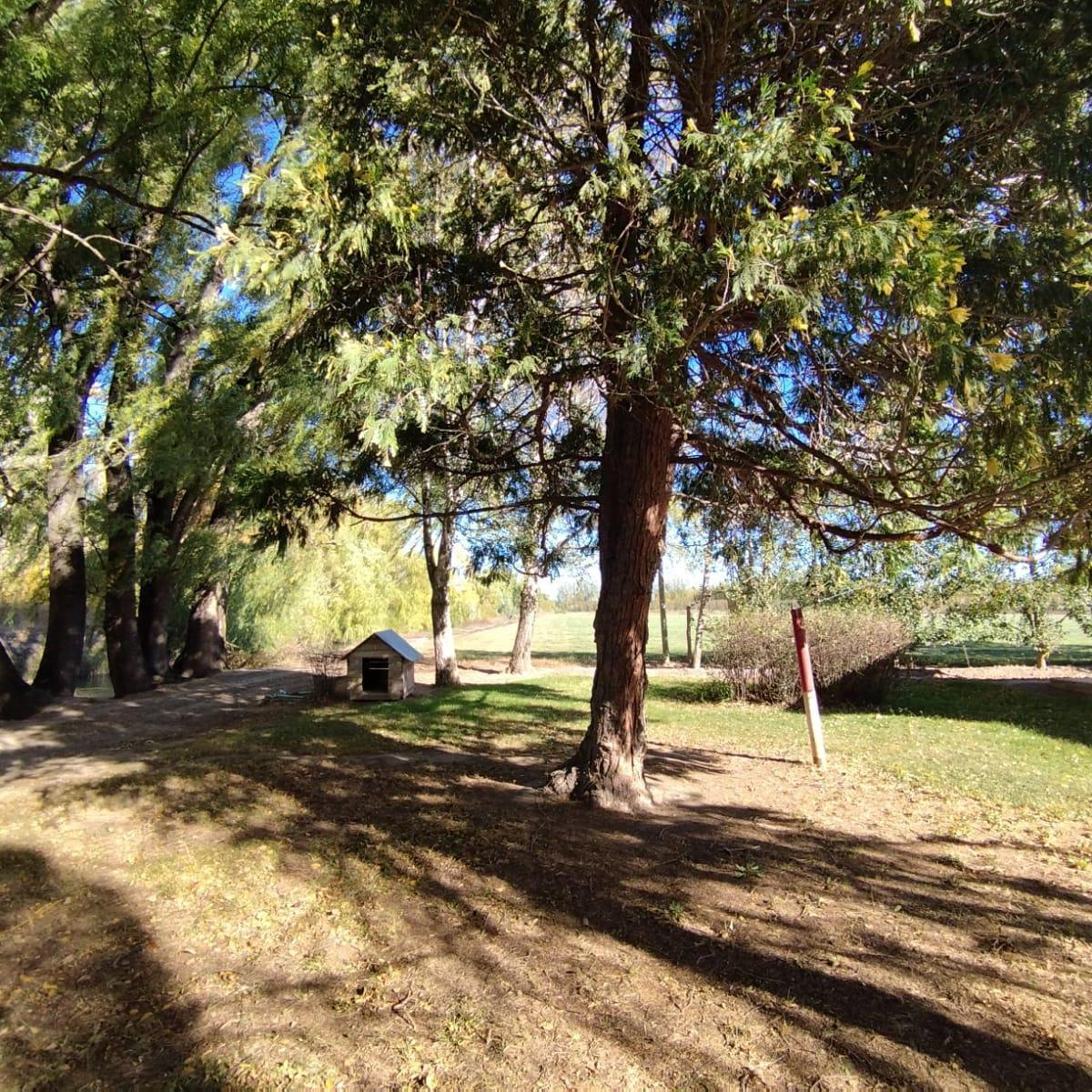 Venta de Chacra con Casa en Allen, 6 Ha 5